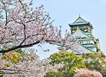 宝威体育app下载-奥运冠军黄雅琼拟入职衢州职业技术学院，担任相关专业带头人